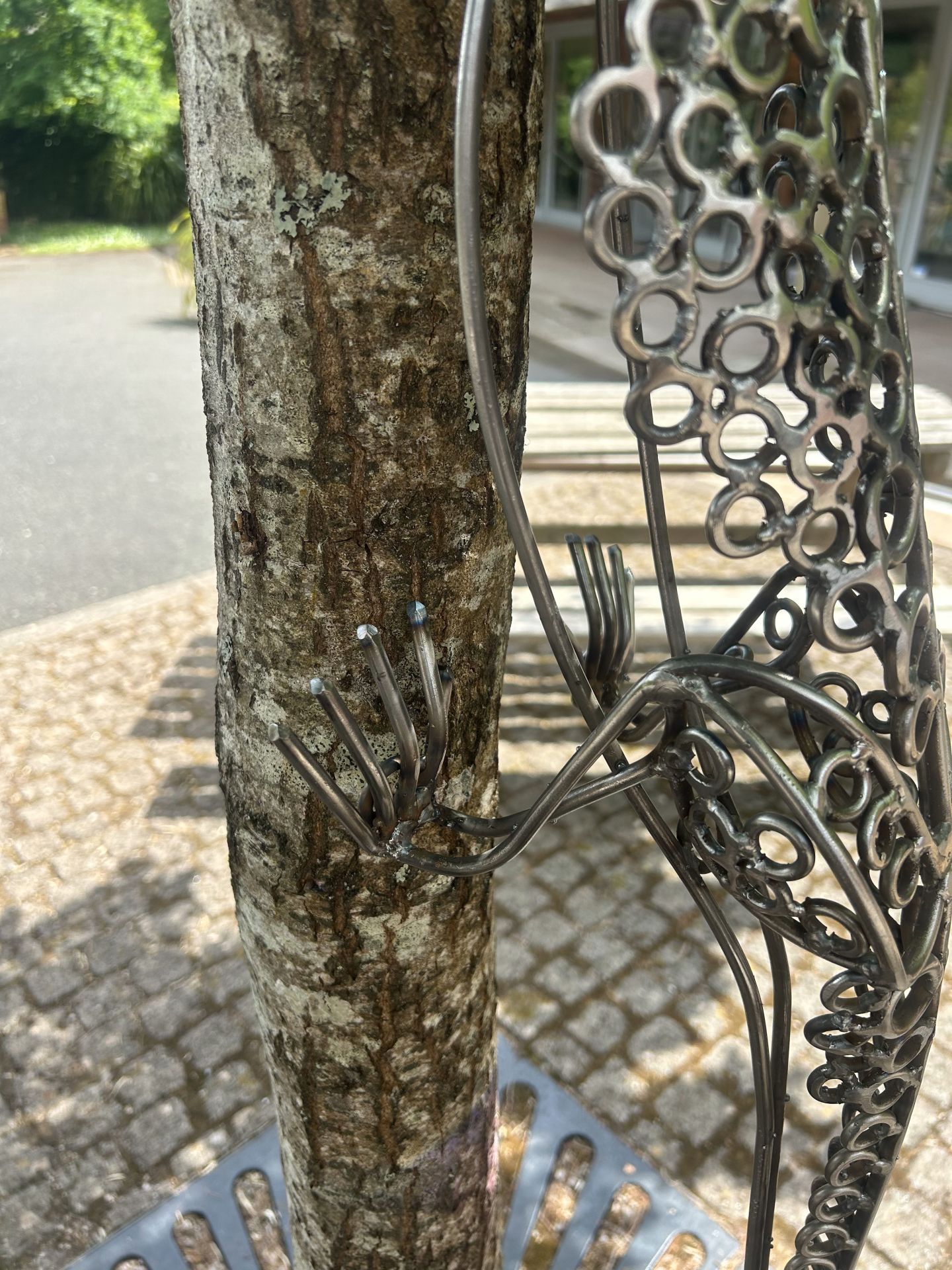 Allan poxton gecko 50