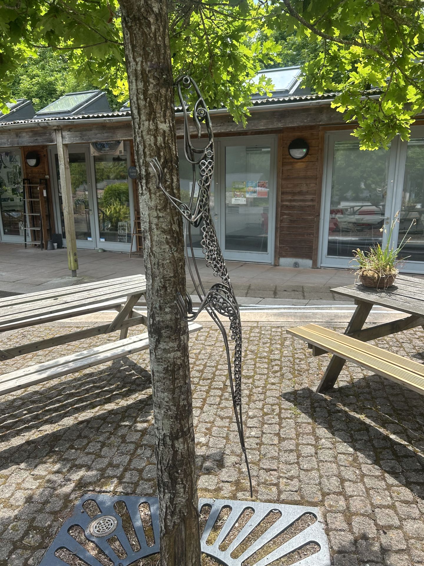 Allan poxton gecko 53