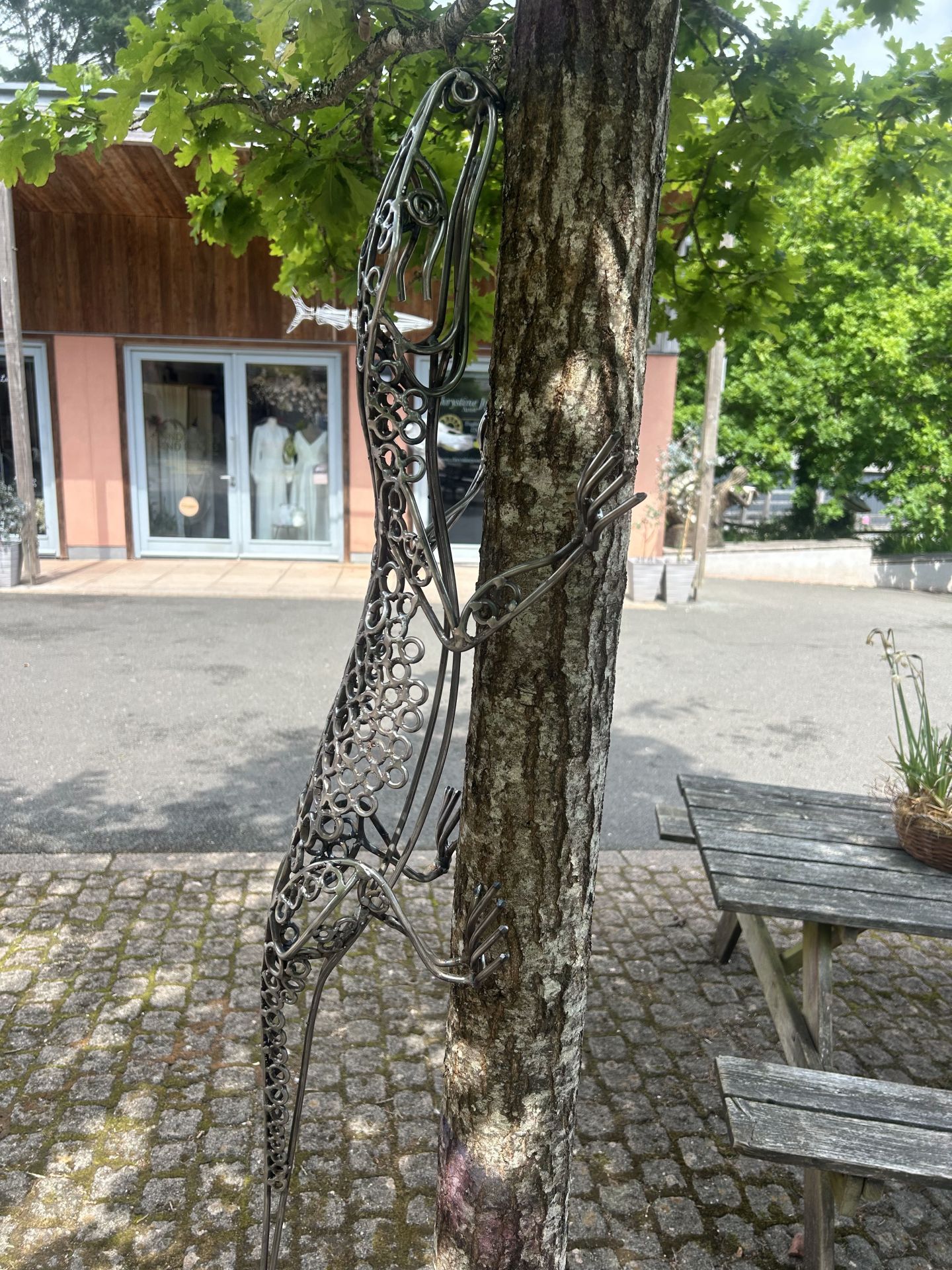 Allan poxton gecko 54